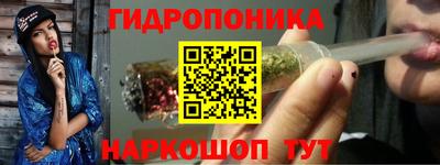прущие грибы Северобайкальск