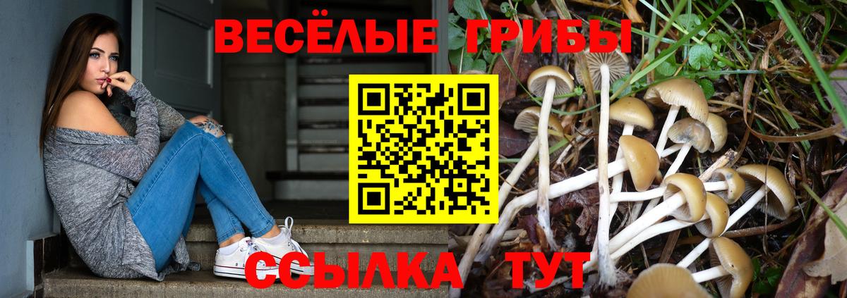 Галлюциногенные грибы мицелий  Вход с VPN  Барнаул 